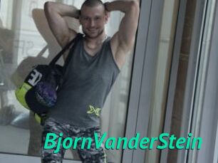 BjornVanderStein