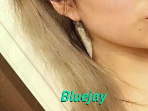 Blue_jay