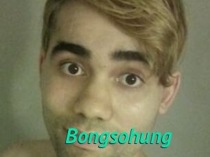 Bongsohung