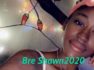 Bre_Shawn2020
