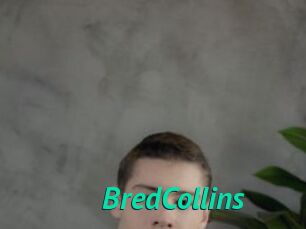 BredCollins