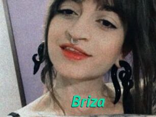 Briza