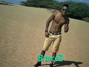 BruceZ