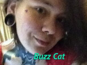 Buzz_Cat