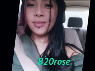 B20rose