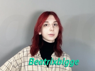 Beatrixbigge