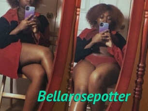 Bellarosepotter