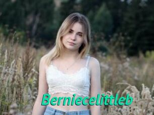 Berniecelittleb