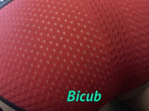 Bicub