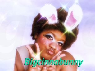Bigcinnabunny