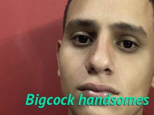 Bigcock_handsomes