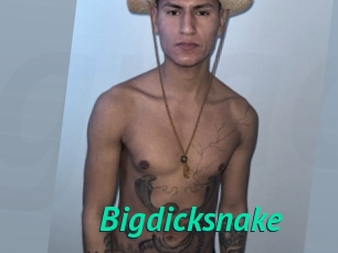 Bigdicksnake
