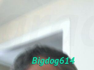 Bigdog614