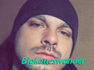 Bigkaneswonder
