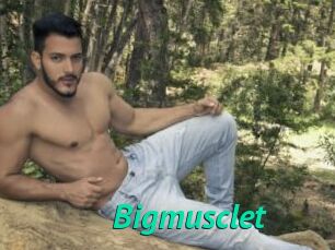 Bigmusclet