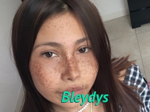 Bleydys