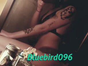 Bluebird096