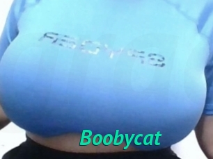Boobycat