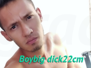 Boybig_dick22cm