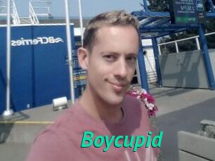 Boycupid