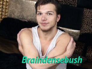 Braindensebush