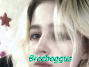 Breeboggus