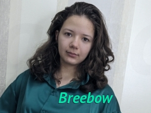 Breebow