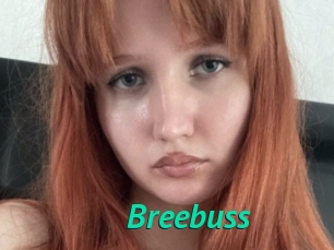 Breebuss