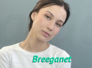 Breeganet