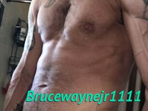 Brucewaynejr1111