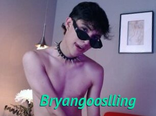 Bryangooslling
