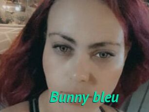 Bunny_bleu