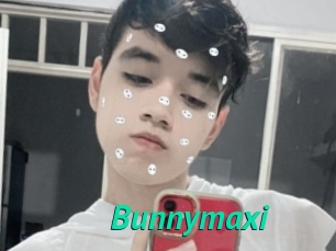 Bunnymaxi