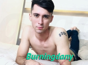 Burningdany