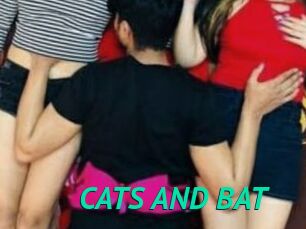 CATS_AND_BAT