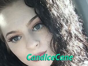 Candice_Cane