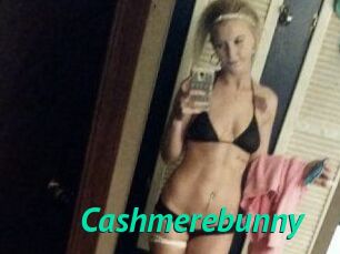 Cashmerebunny