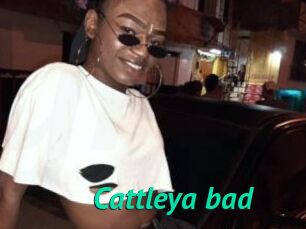 Cattleya_bad