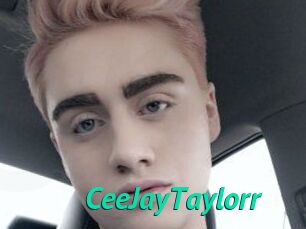 CeeJayTaylorr