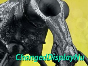 ChangedDisplayNu