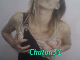 Chaton31