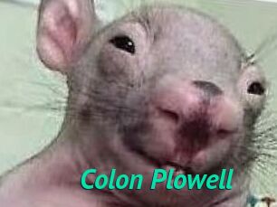 Colon_Plowell