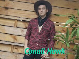 Conall_Hawk
