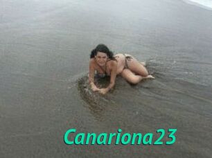 Canariona23