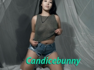 Candicebunny