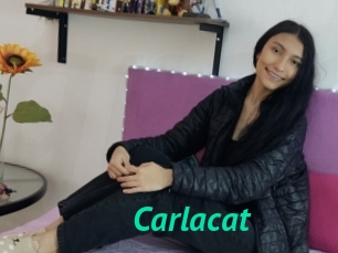 Carlacat