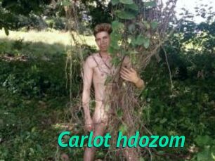 Carlot_hdozom