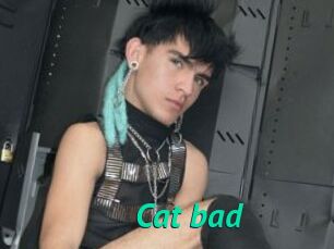 Cat_bad