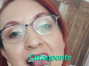 Cataaponte