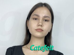 Catefelt